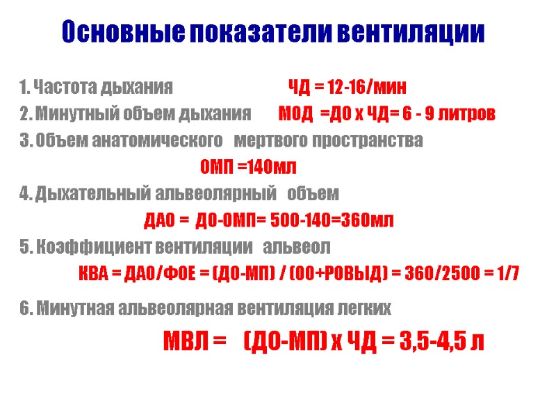 Основные показатели вентиляции 1. Частота дыхания        